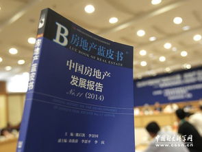 2019房地产蓝皮书发布 商品住宅市场应关注三大问题